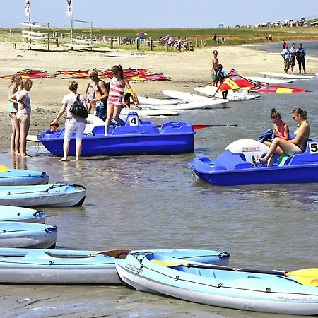 Wattenmeer Und Wattwurm - Dns07075-sya * Büsum