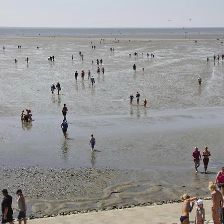 Feriehus Wattenmeer Und Wattwurm - Dns07075-sya *
